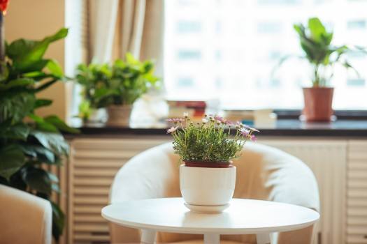 ����С��ģ�K�c�W(w��ng)�j(lu��)���_(t��i)����(w��)��ͨ��